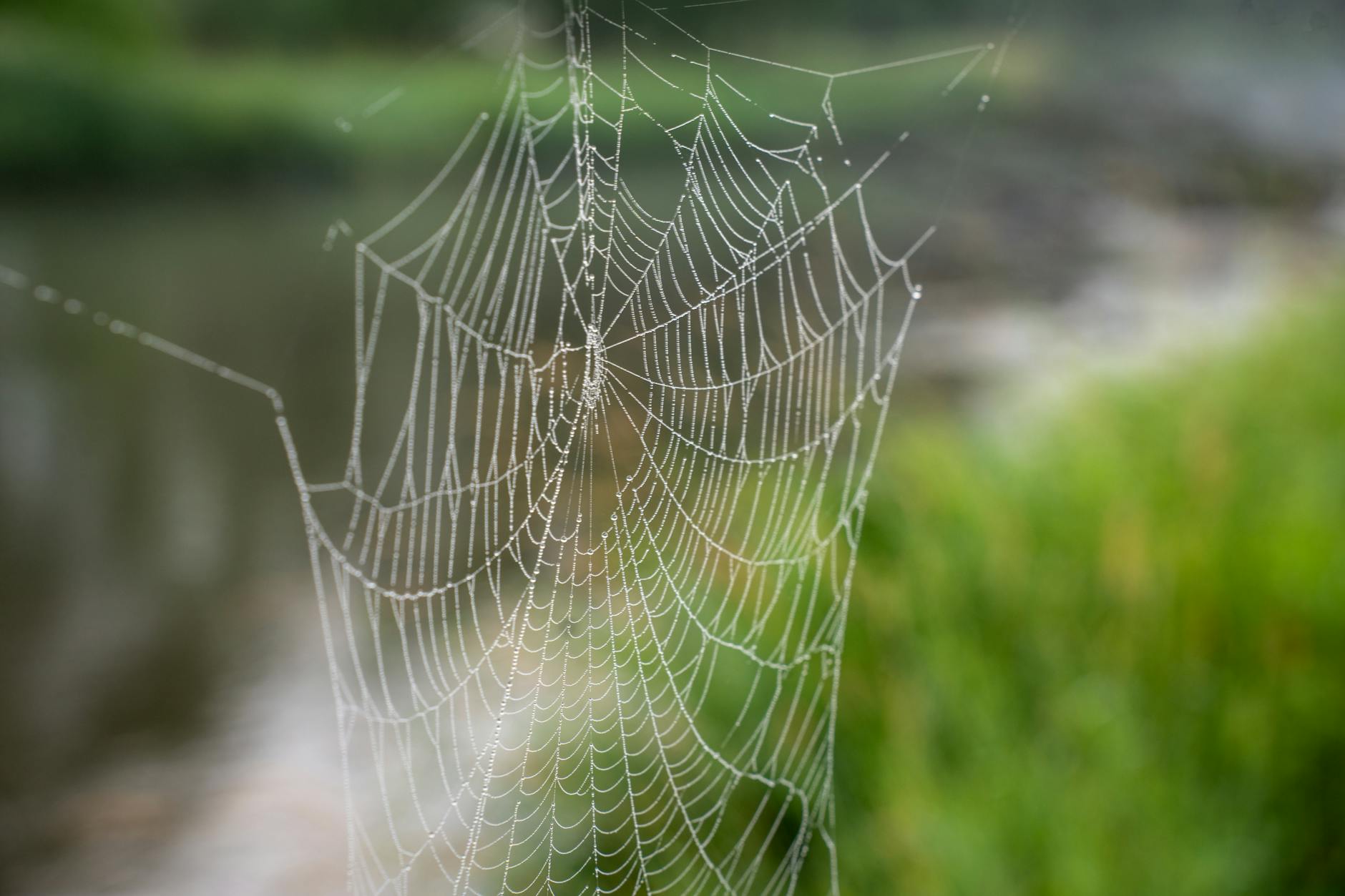 Can You Tell If a Pokemon Pack Has Been Weighed?