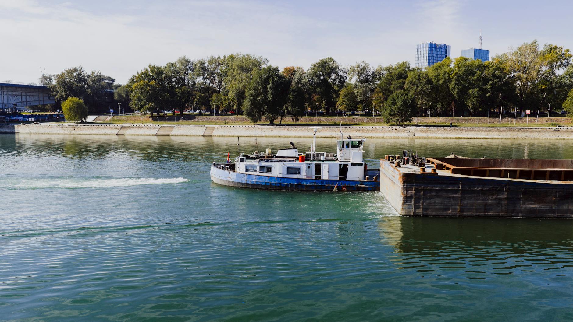 Evolving Eevee in Pokémon GO: Methods and Limitations