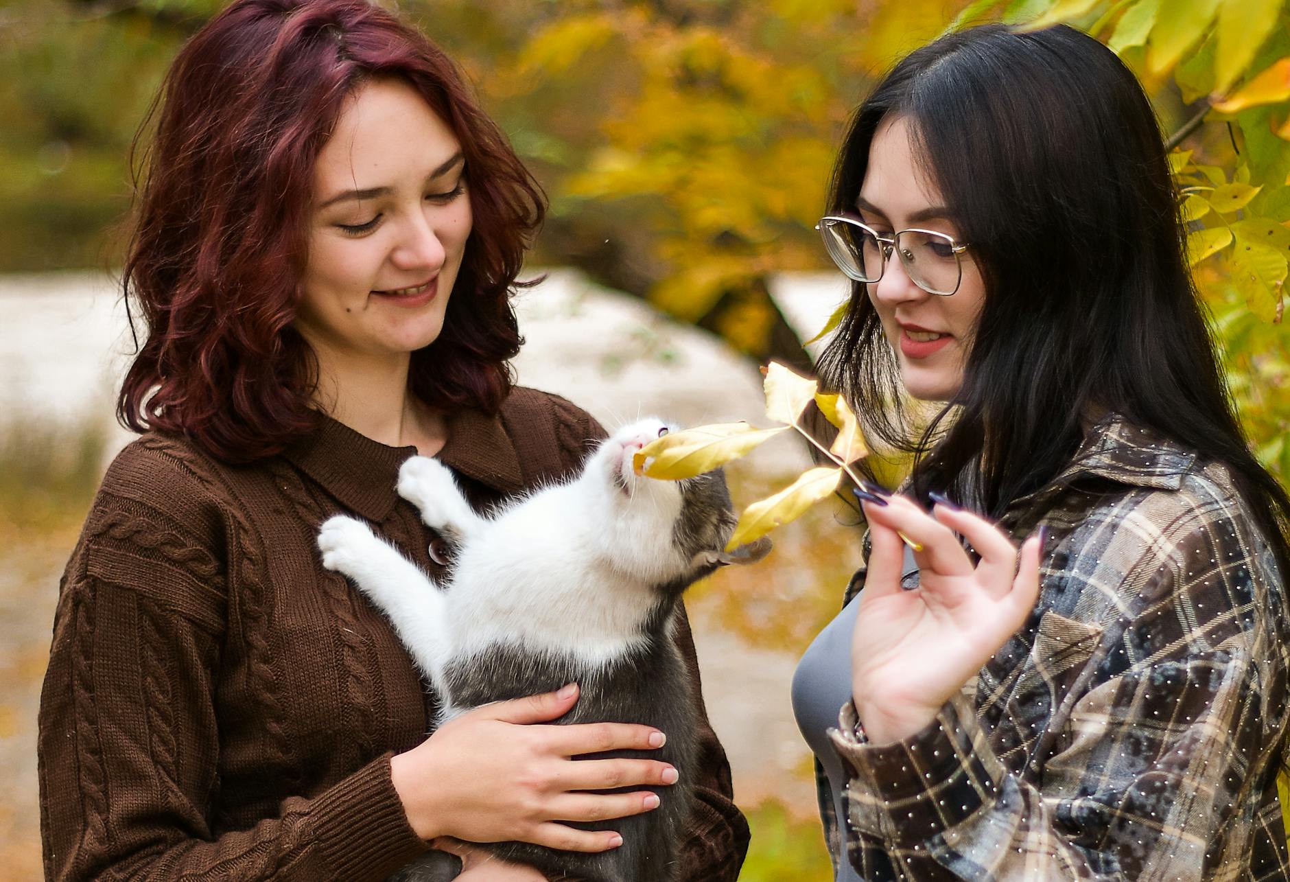 How Gen Z Approaches Pokemon Card Collecting Differently