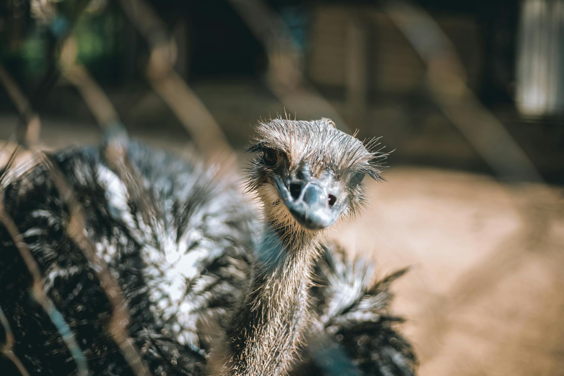 How Large Is the Millennial Pokémon Collector Base?