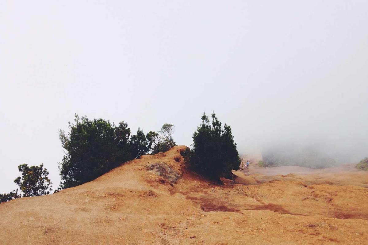 How Much Is Charizard French Worth in 2026 - Illustration 2