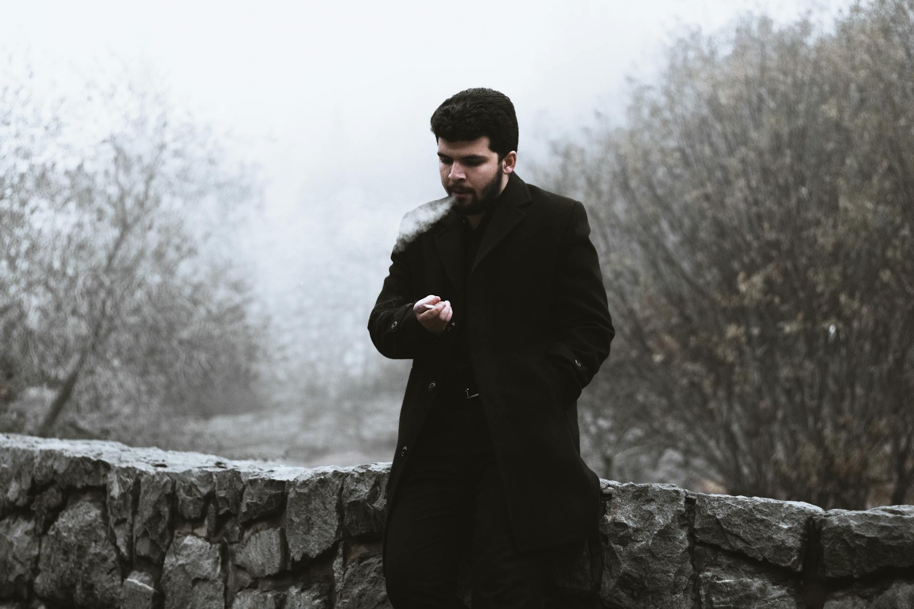 How to Identify a Genuine Shadowless Charizard Base Set Card