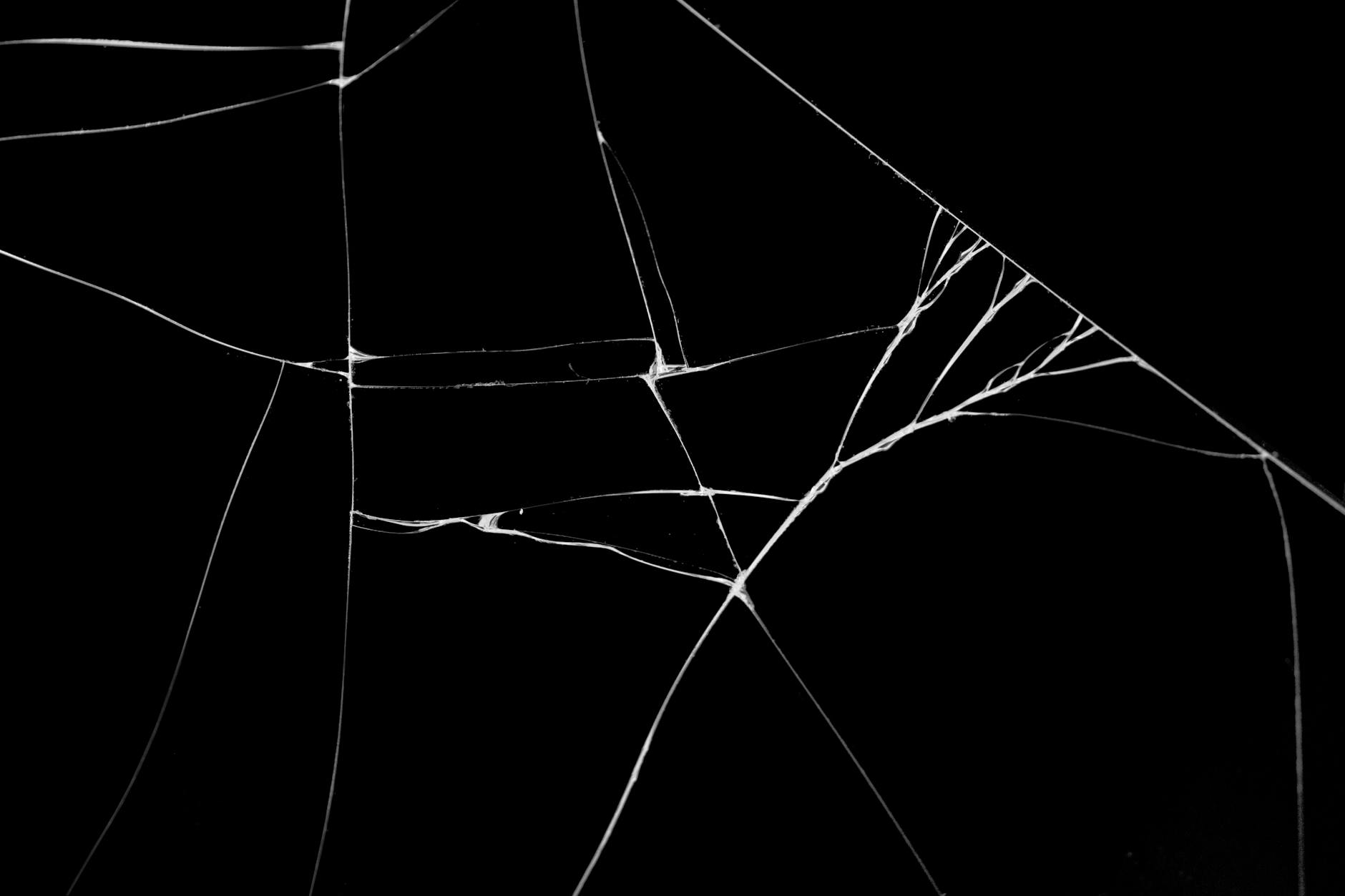 Print Lines And Their Impact On Charizard Base Set Value