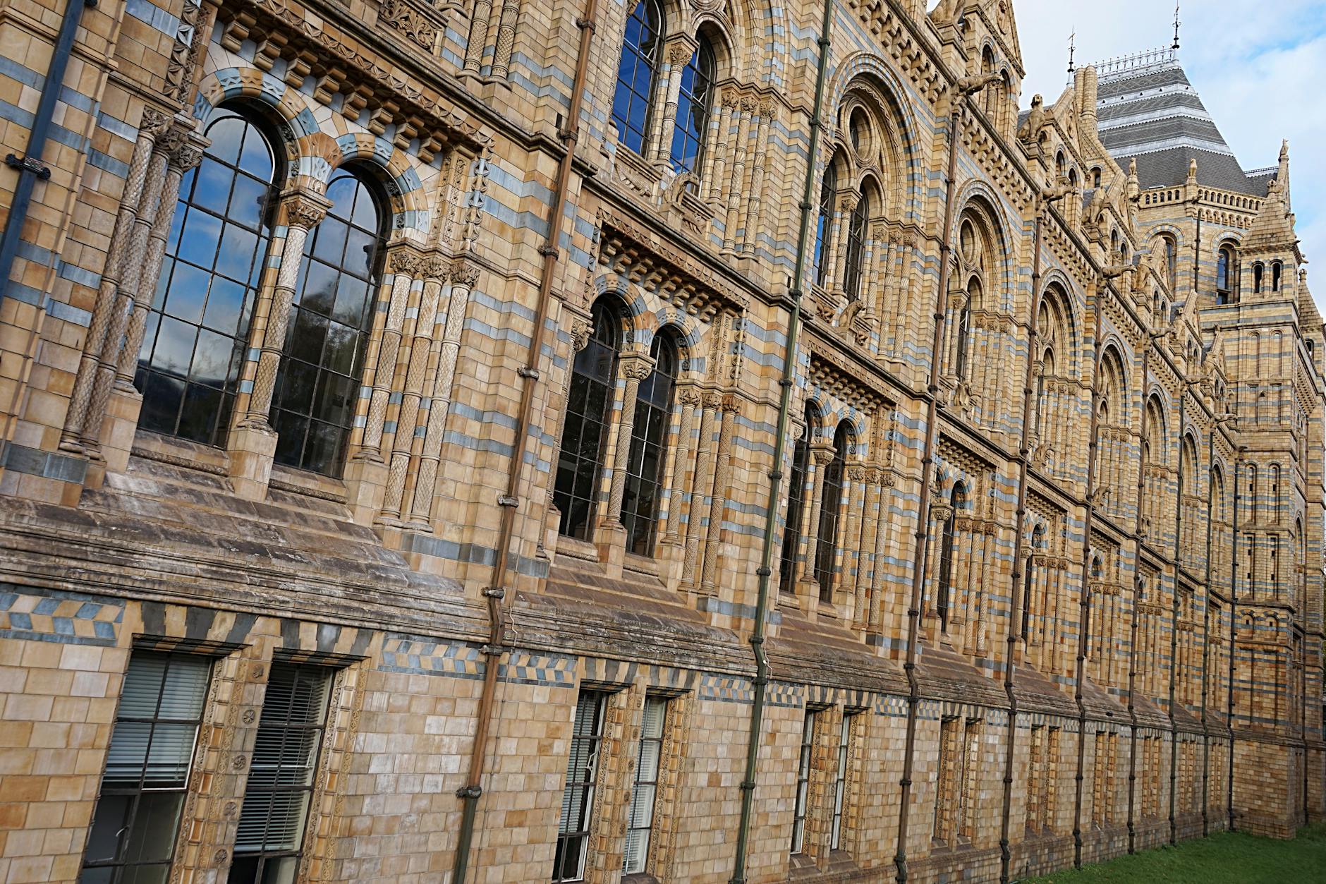 The Unique History of Ivysaur's Design