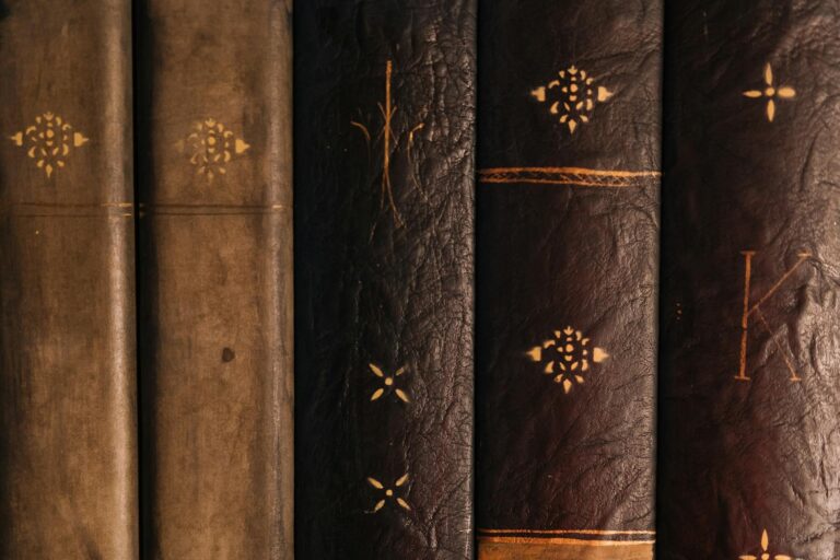 What Age Range Collects the Most - Featured image