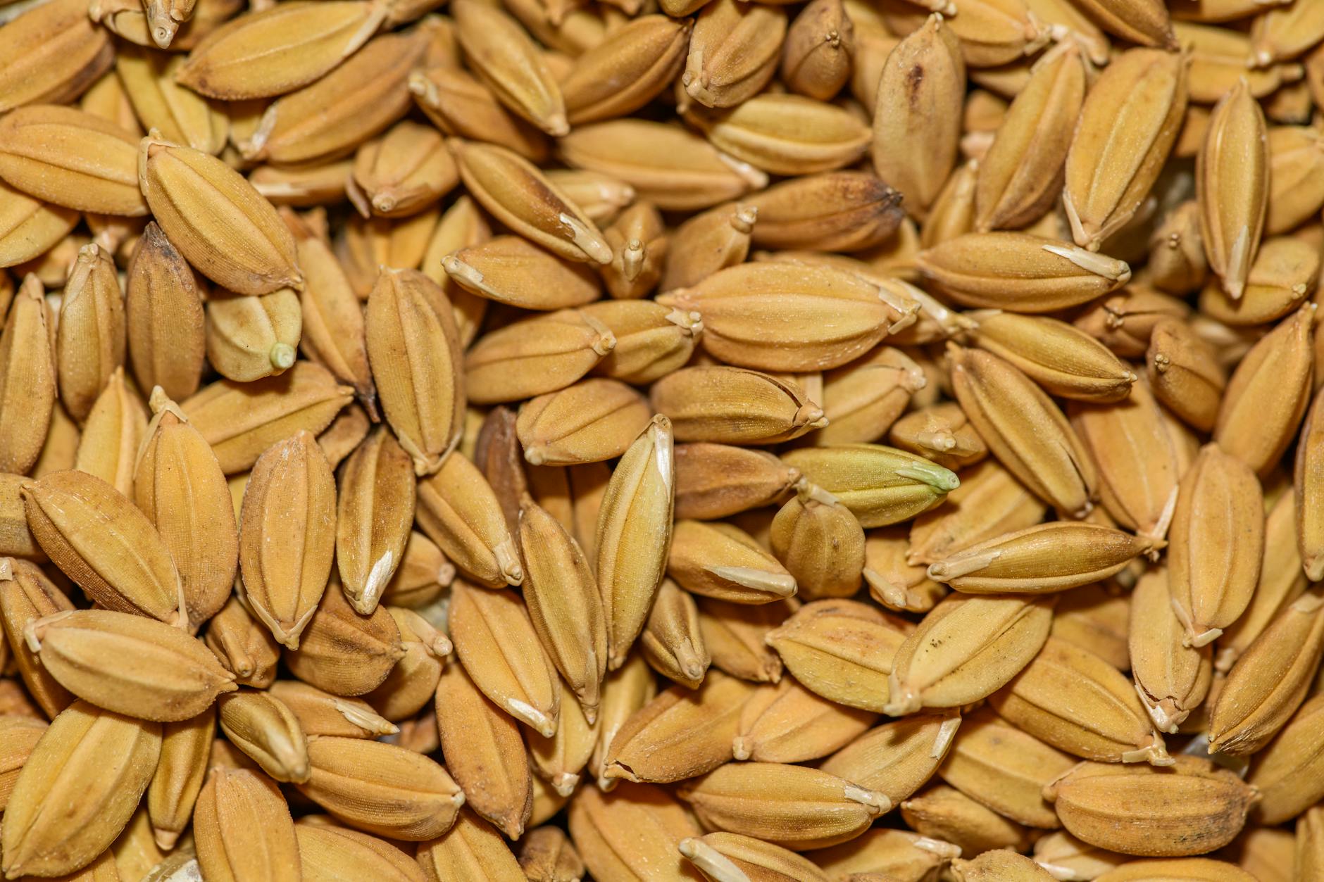 What Is A Charizard Base Set PSA 4 Actually Worth In Today's Market?