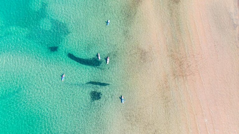 What Is the Evolution of Pikachu - Featured image