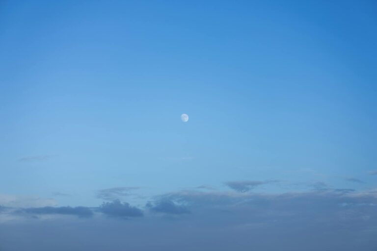 What Is The Value Of A Shadowless Charizard Base Set PSA 4 - Featured image