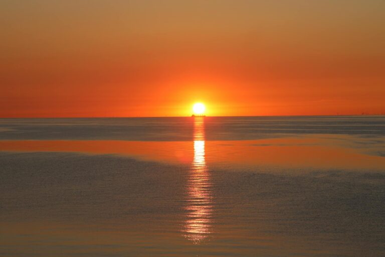 Will Gen Alpha become true collectors or just participants while parents fund it - Featured image