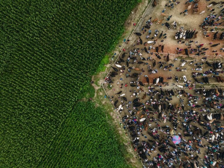 Auction House Confirms Highest Trading Card Sale in History - Featured image