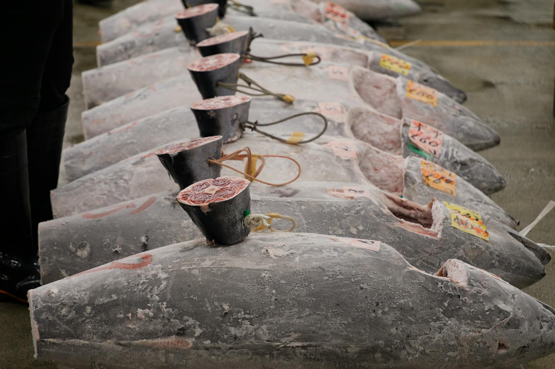 From WrestleMania Necklace to Auction Block — The Card's Public Life