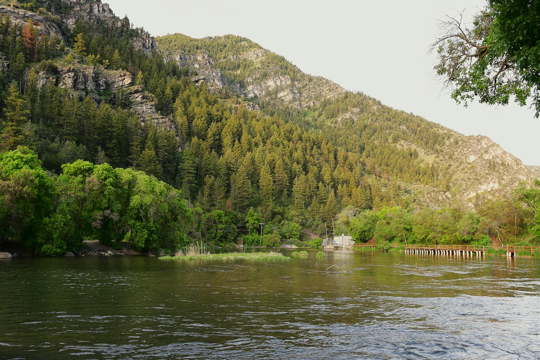 How Did Logan Paul's 212% Return on a Pokémon Card Actually Happen?