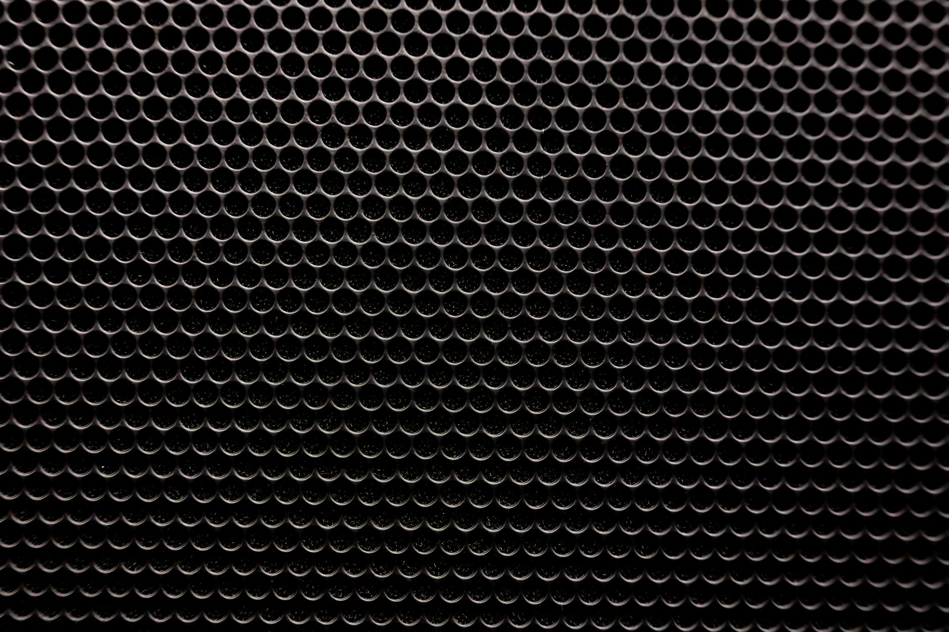 How Does Ralts Evolve Into Its Final Forms?