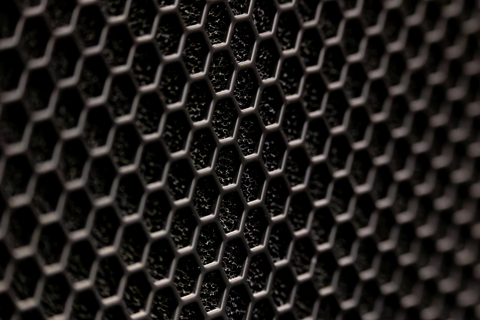 How Does Rhyhorn Evolve in the Main Series Games?