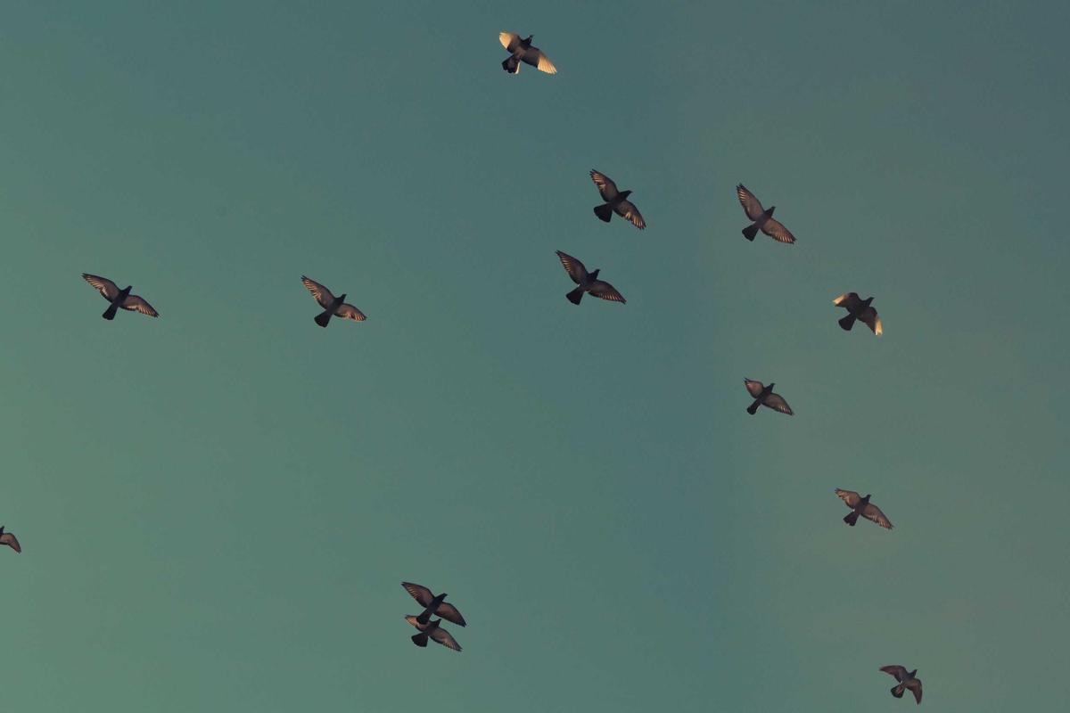 Competitive Viability Against Common Threats