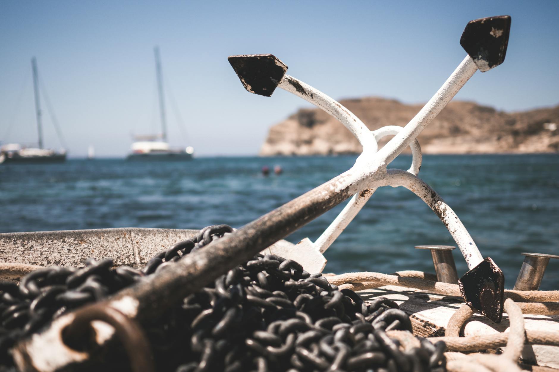Condition and Rarity as Demand Anchors