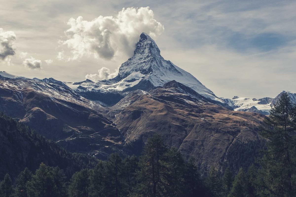 Counterfeits, Regulation, and the Scam Risk Nobody Talks About
