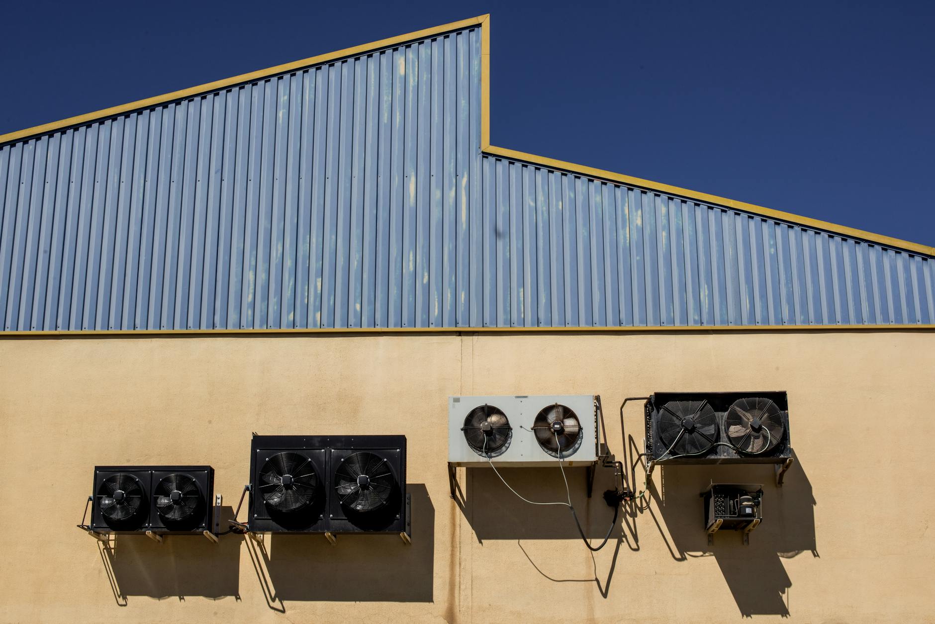 Grading Systems and Condition Premiums: Why Standardization Matters