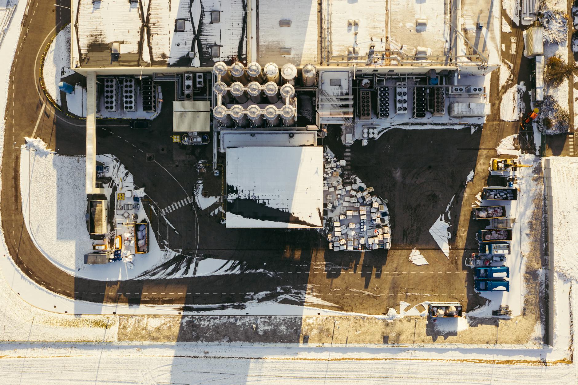 How Geographic Distribution Shaped the Print Run and Availability Today