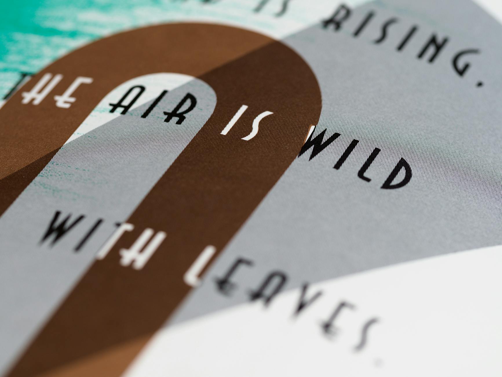 How Print Quantity Drives Collector and Investor Demand