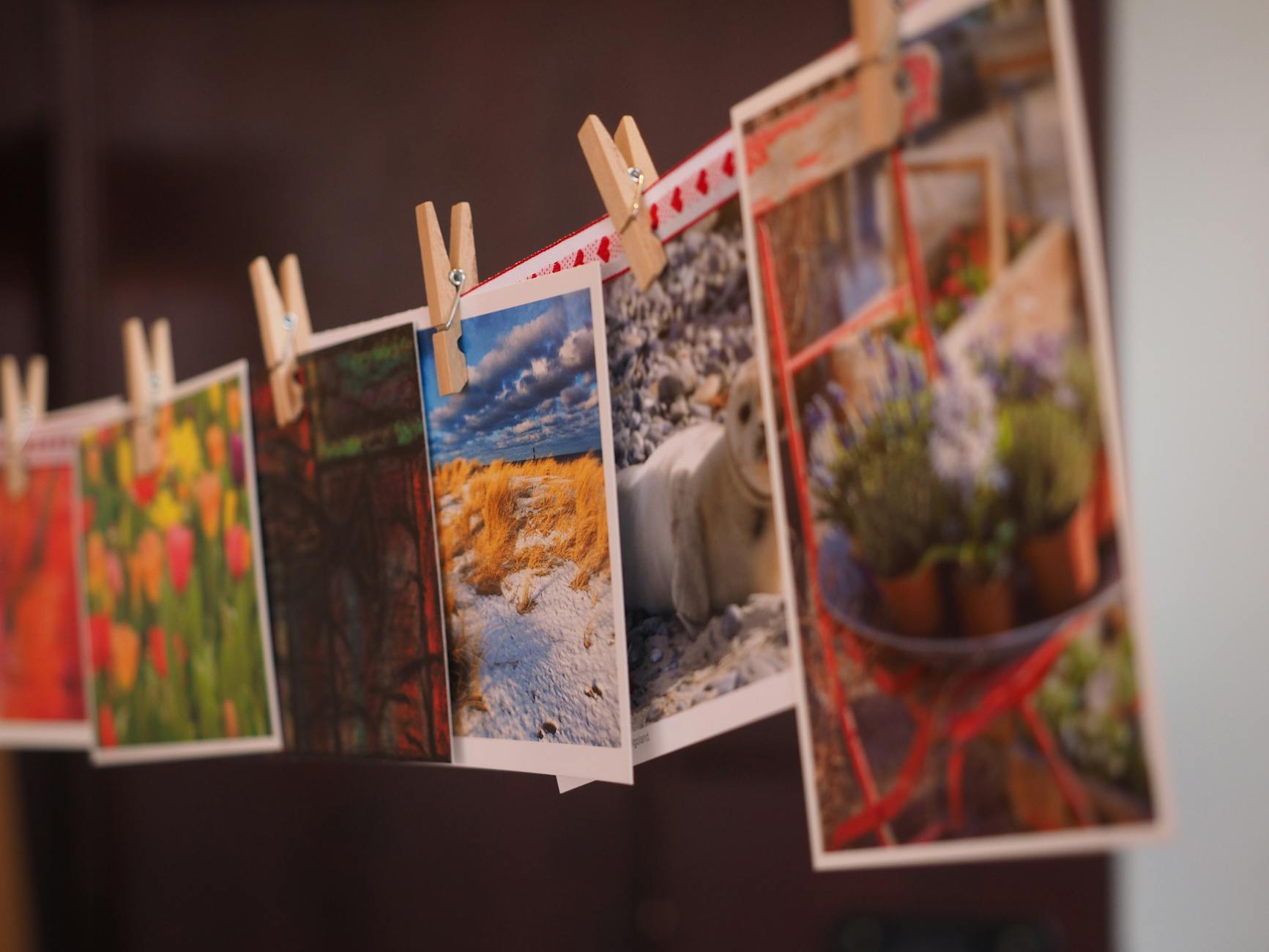 How Print Variants Create Dramatic Price Gaps