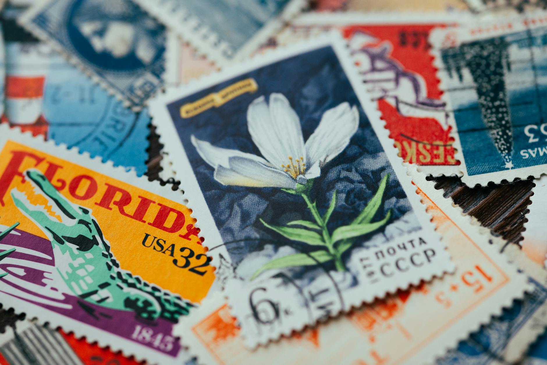 Hunting Variants and Printings That Most Collectors Ignore
