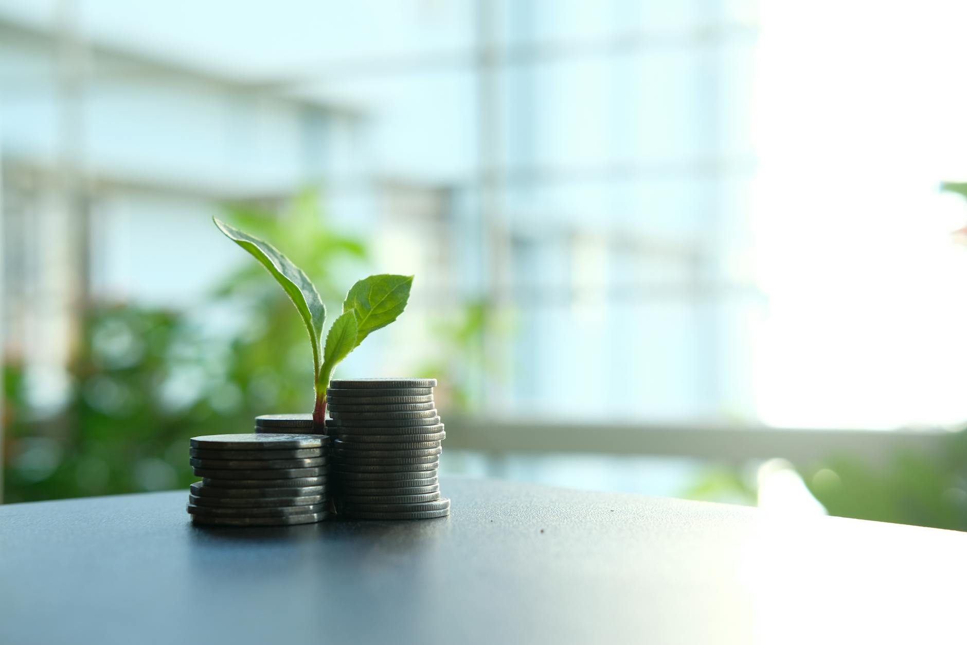 Investment Returns: Pokemon Cards vs. Sealed Video Games Performance