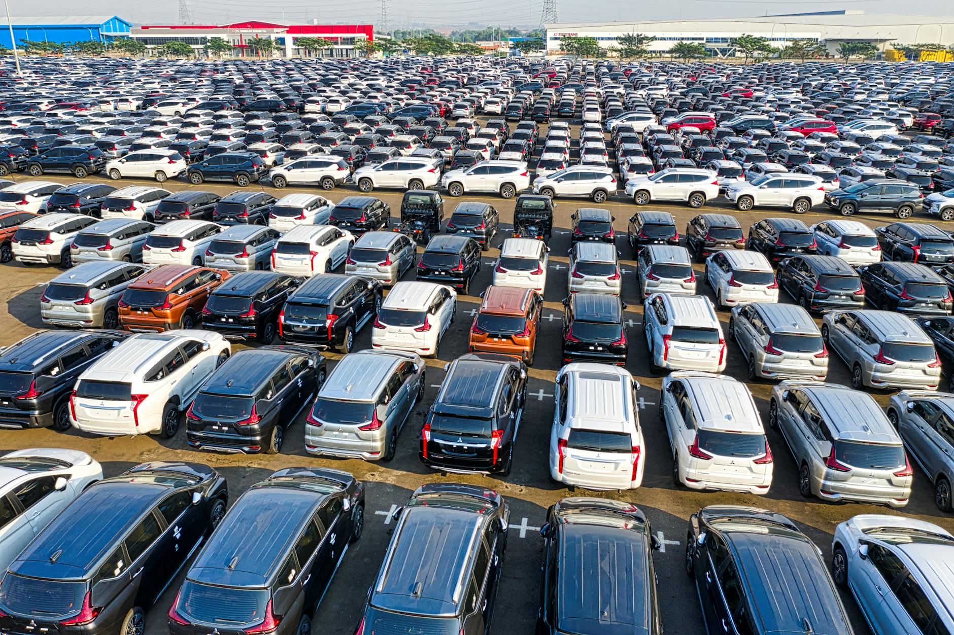 Market Expansion and Collector Demand
