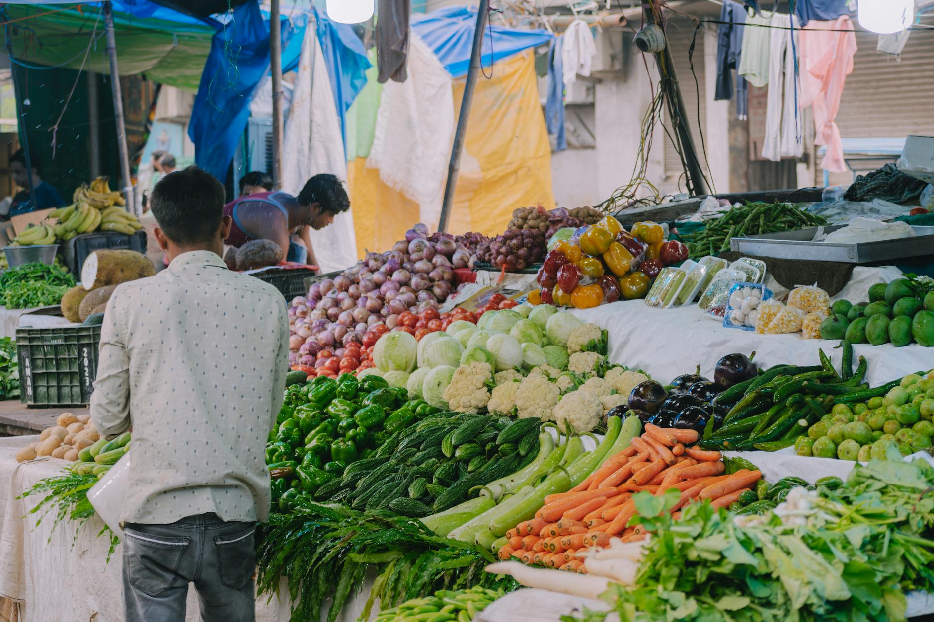 Market Fundamentals and Sustainable Demand