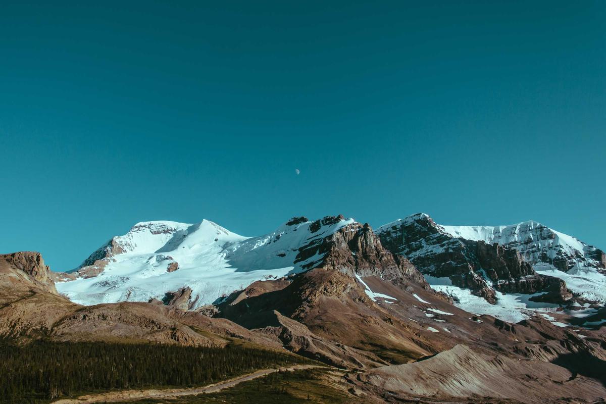 Market Volatility and the Grading Risk Trap