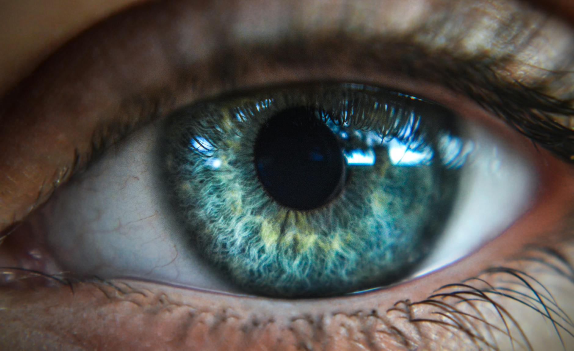 PROFESSIONAL GRADING STANDARDS AND EYE APPEAL ASSESSMENT