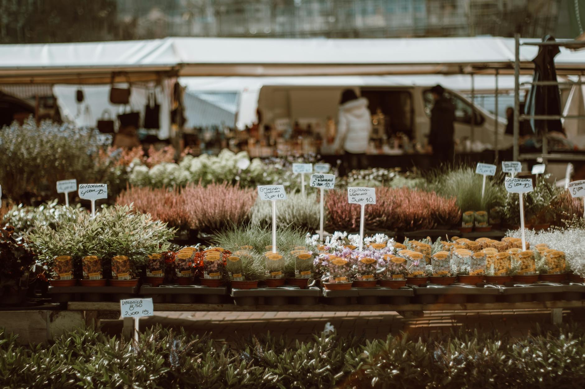 SCARCITY AND MARKET DEMAND IN A GROWING HOBBY