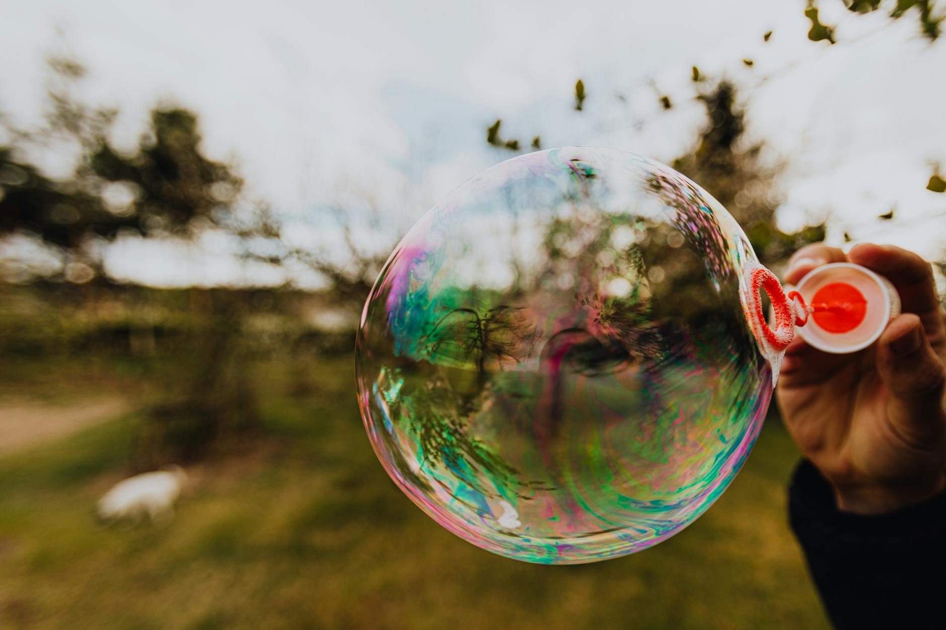 The 2026 Bubble Concern: Are Modern Special Variants Overpriced?