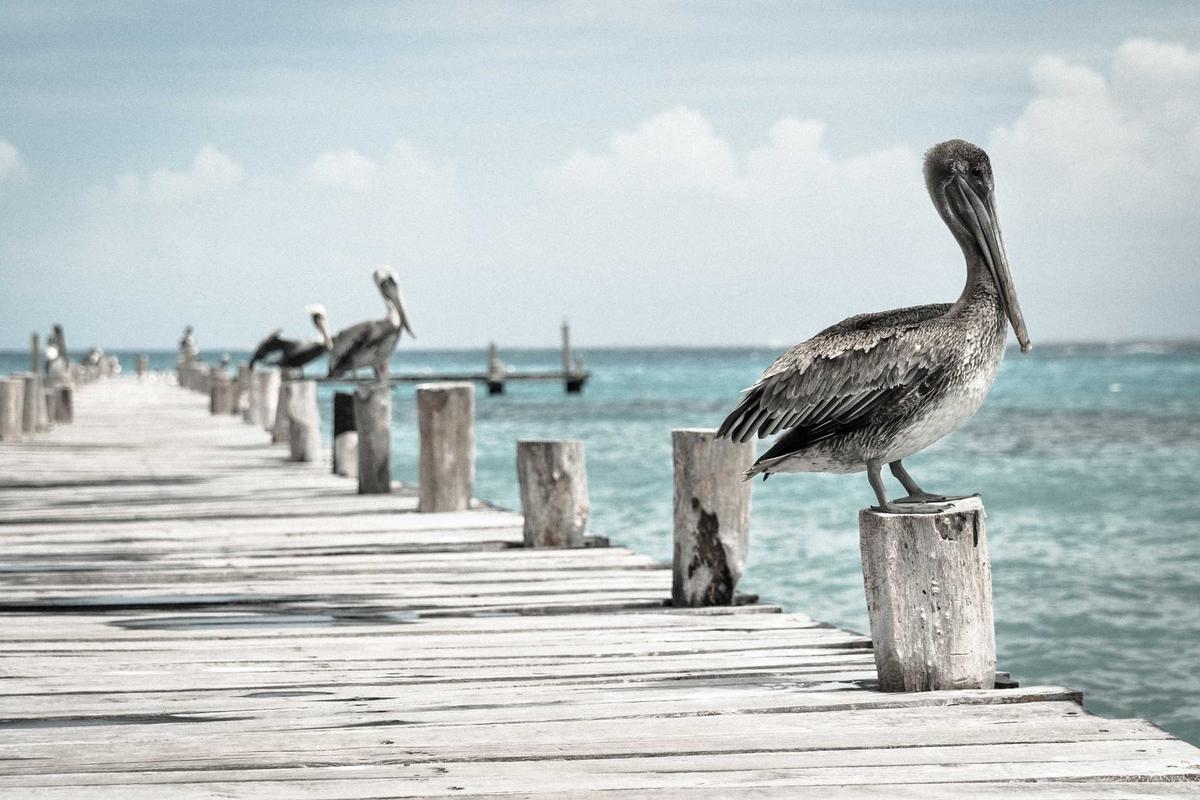 The Condition Challenge That Separates Winners From Losers