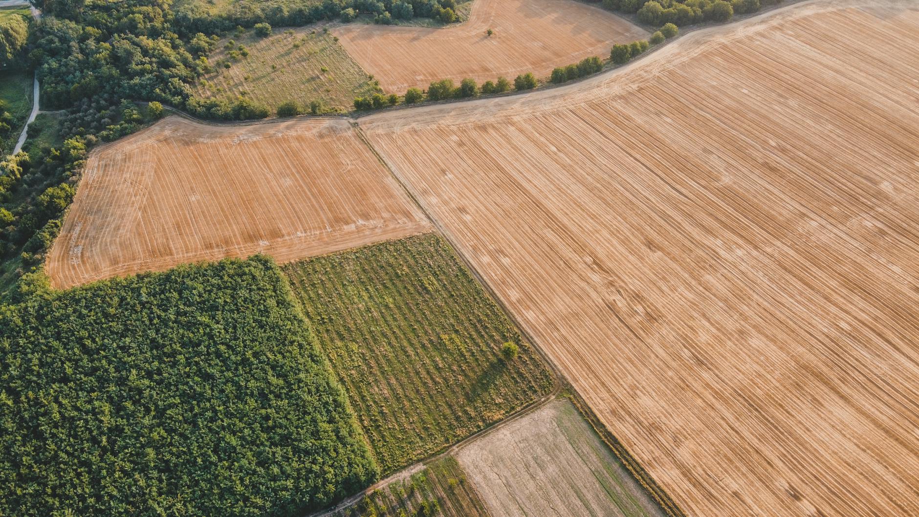 The Exception That Proves the Agricultural Rule