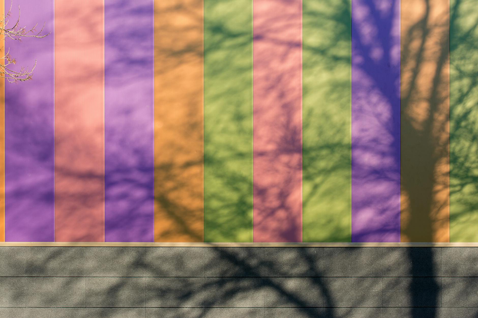 Unlimited Shadowless Variations and Their Significance