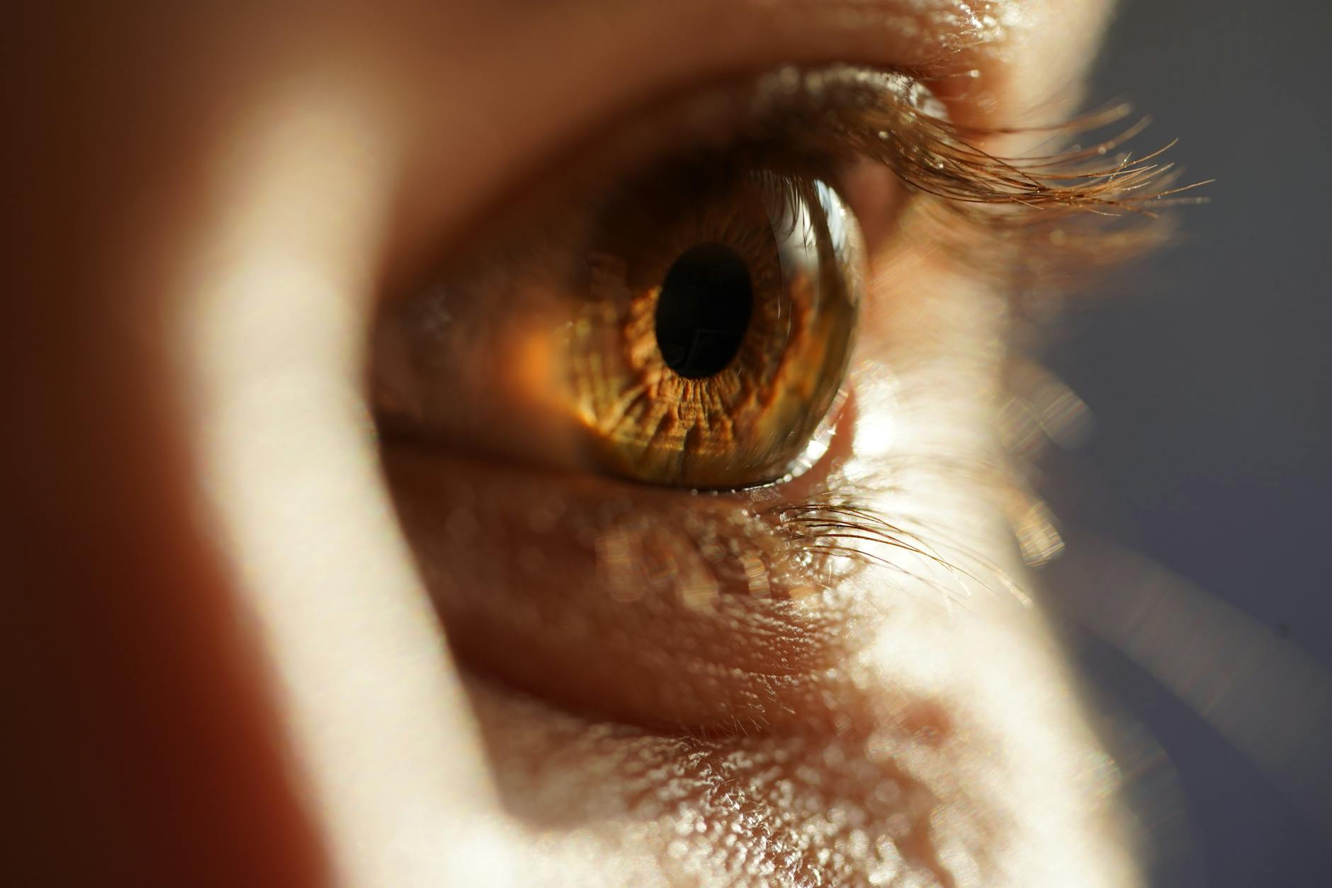 What Determines Eye Appeal Beyond the Technical Grade?