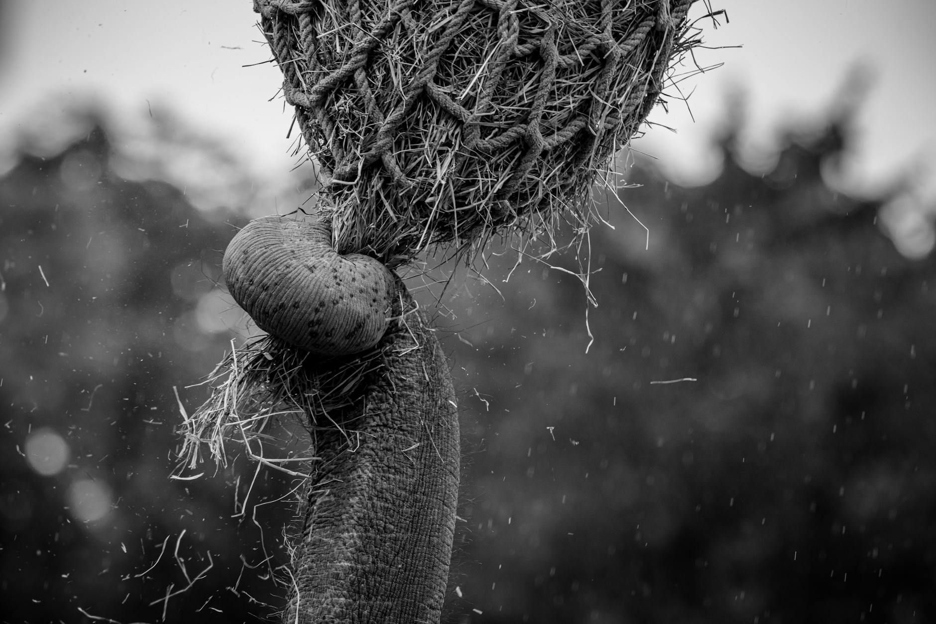 What Is Hidden Strength and Why Does It Matter More Than Headlines?