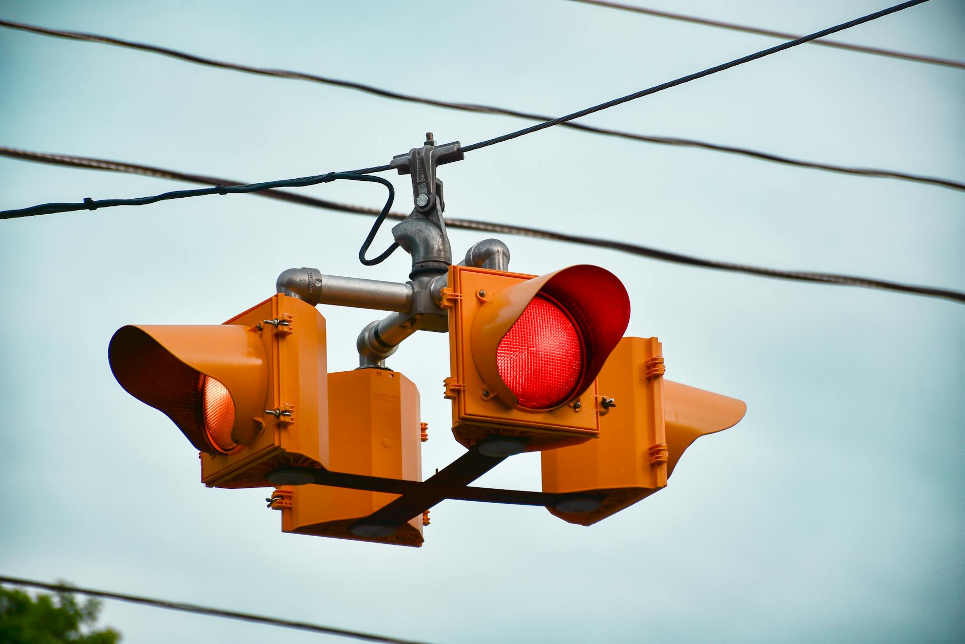 What Signals Show When Cards Are About to Trend?