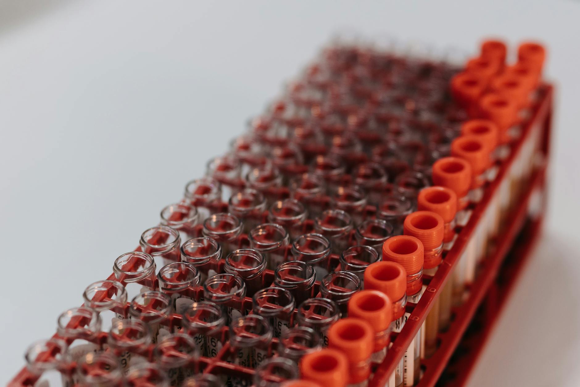 WHAT TESTING APPROACHES ARE COMPANIES ACTUALLY USING?