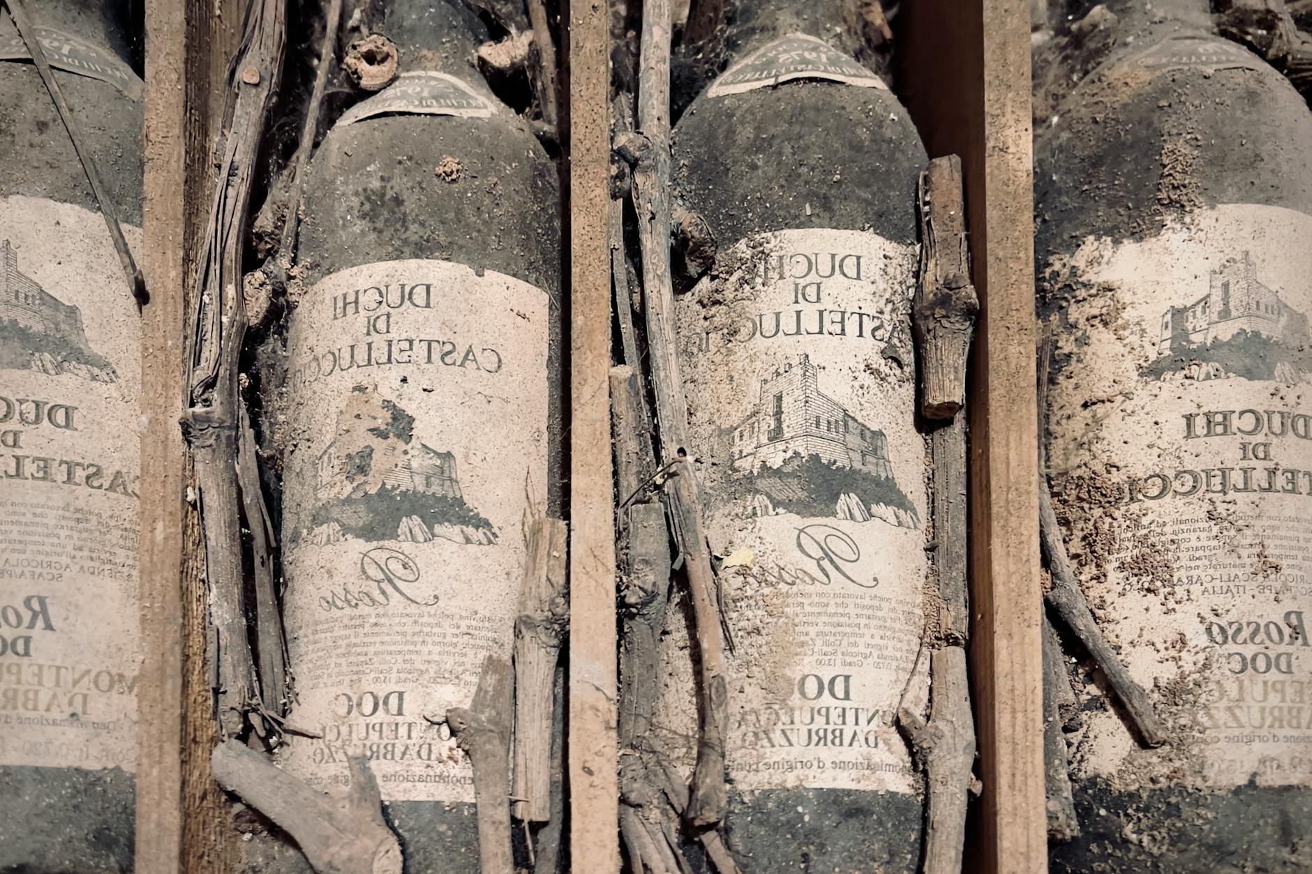 Why 1999-2000 Labels Keep Getting Attention in 2026 - Featured image