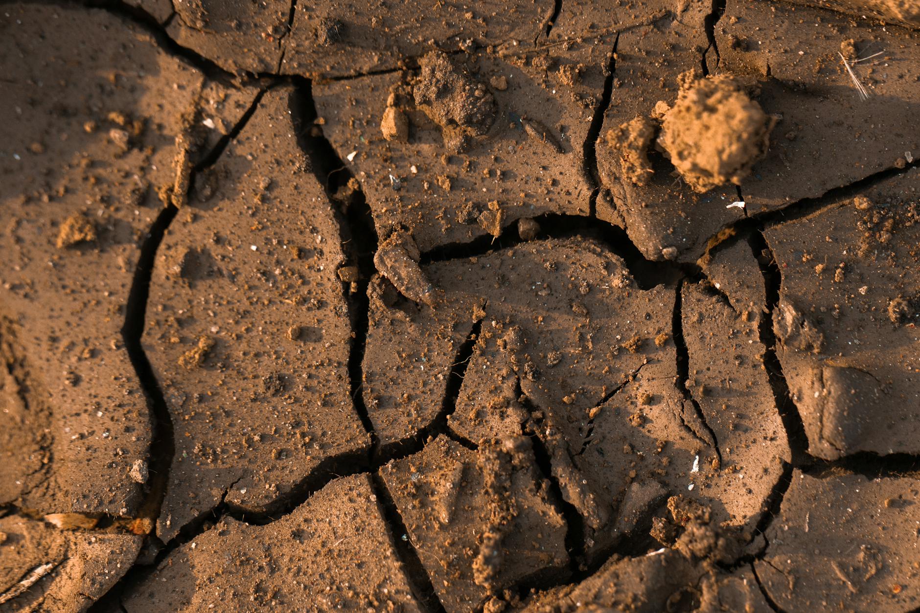 Why Does Scarcity Matter More When Nostalgia Is Involved?
