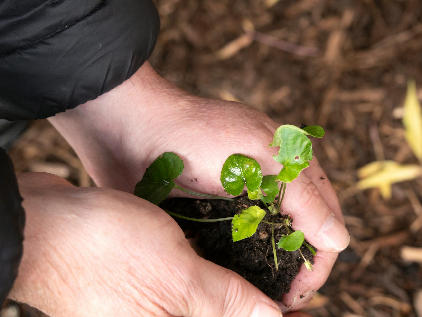 Why Growing Markets Encourage Strategic Patience