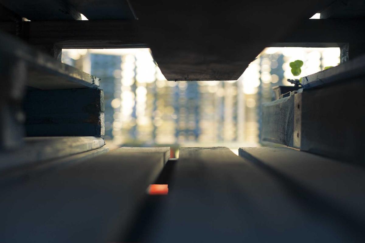 Authentication and Counterfeiting Risks