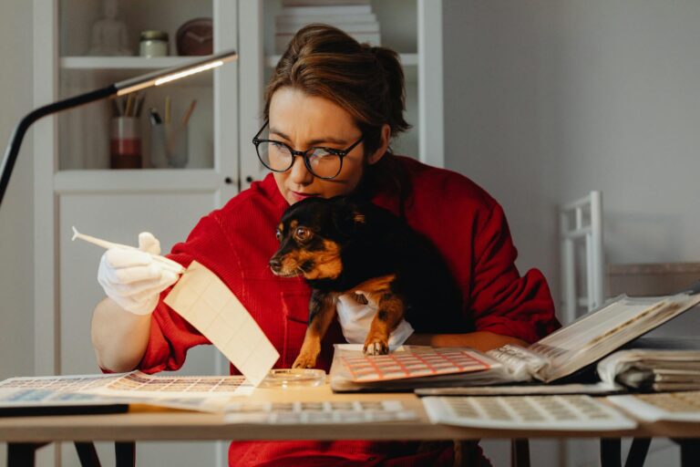 Collectors Say Mainstream Attention Changes Everything - Featured image