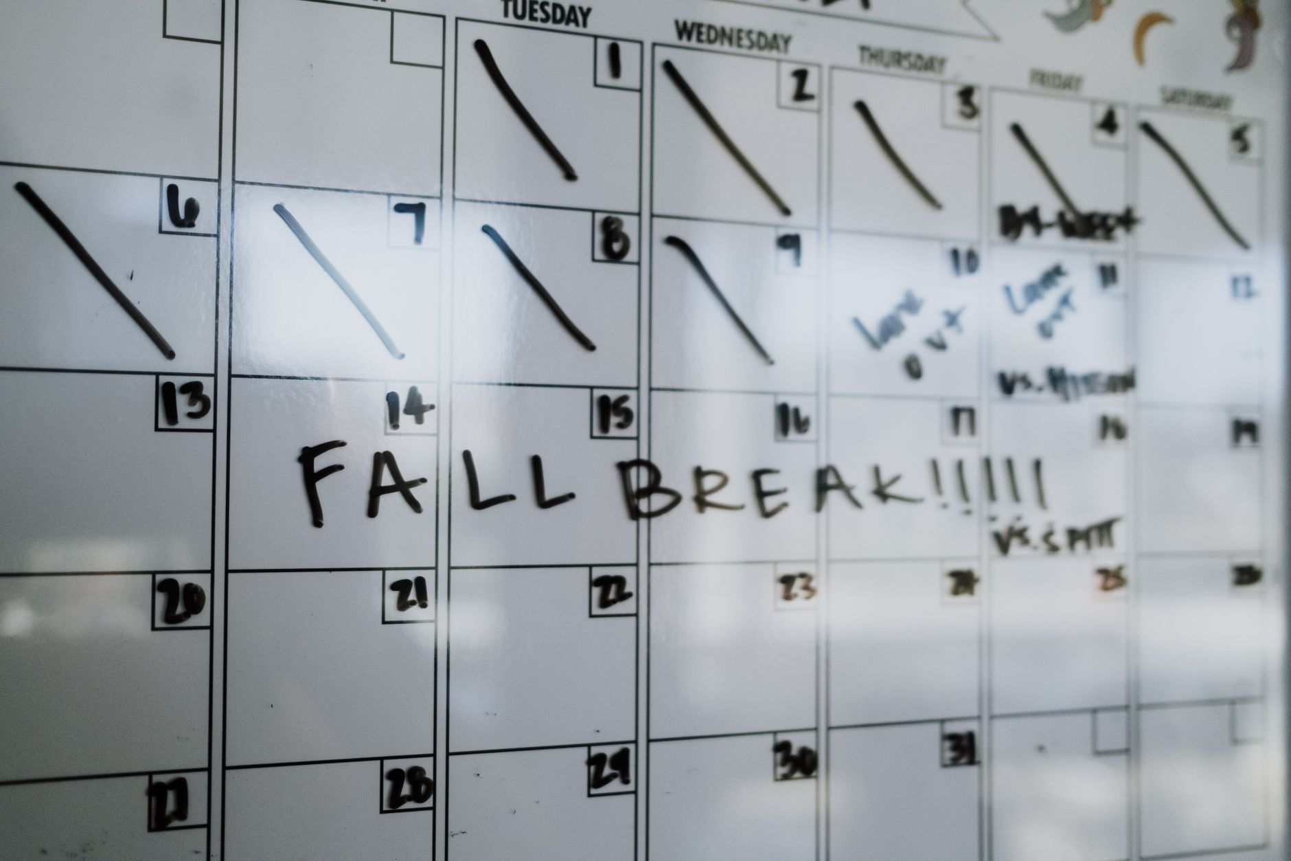 Event Dates, Location, and How to Plan Your Visit