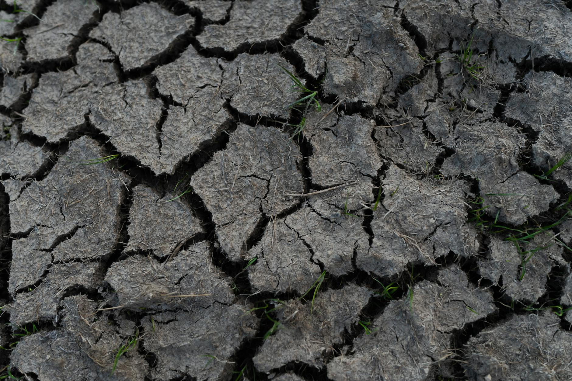 How Does Storage and Condition Degradation Factor Into a 9-Year Holding Strategy?