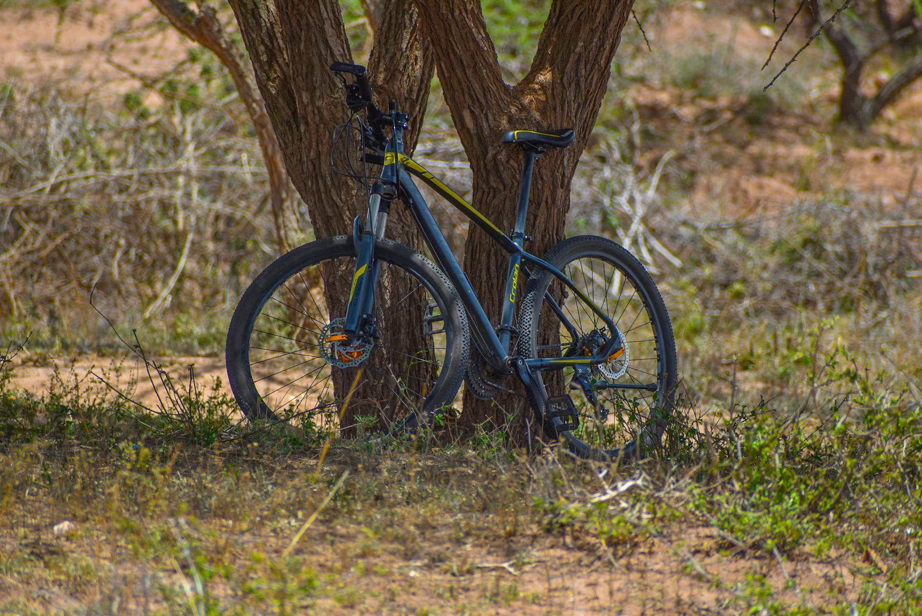 How Hype Cycles Create Two-Speed Price Movement