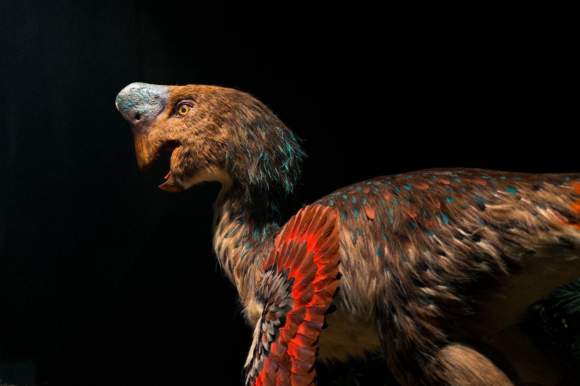 How Pokémon Can Make Paleontology More Interesting for Kids - Featured image