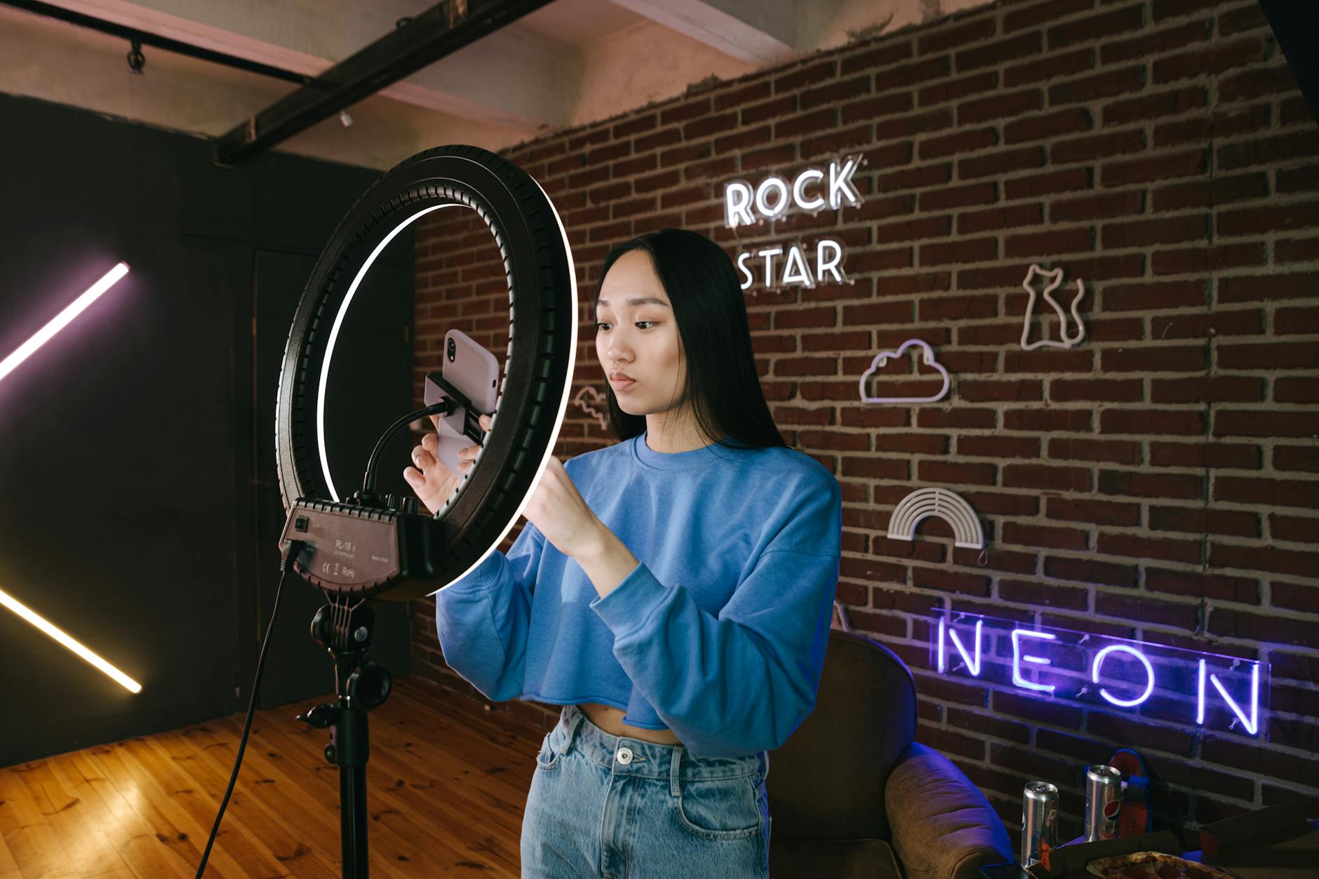 How TikTok Content Creators Influenced Collector Behavior
